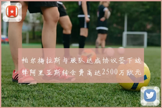 帕尔梅拉斯与狼队达成协议签下边锋阿里亚斯转会费高达2500万欧元