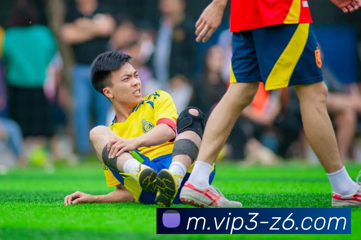 尊龙凯时发展历程